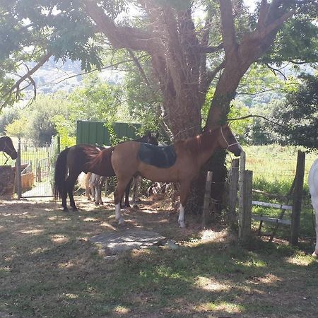 Apartamento Rural Zuri Cotorrio Exterior foto